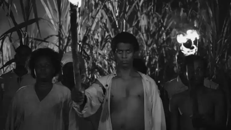 Group of young people holding torches during a nighttime outdoor event in a natural setting with tall grass and trees.