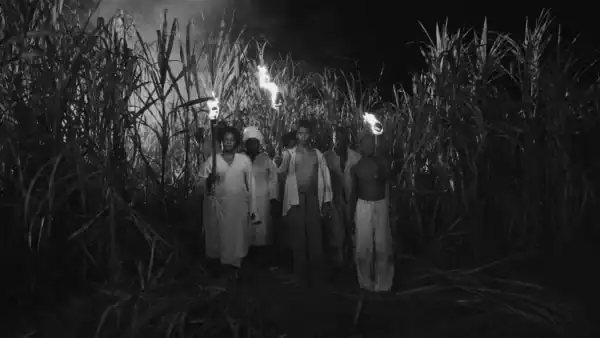 Group of people walking through tall grass at night, holding torches, in a rural or wilderness setting.