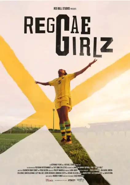 Woman soccer player stands solo on a soccer field proudly.
