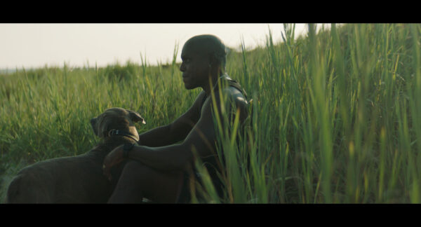 A man sits peacefully among tall grass in a nature setting, facing left with his arms resting on his knees, accompanied by a dog who sits at his side. The warm light and lush greenery evoke a tranquil, contemplative mood, highlighting the quiet companionship and connection between the man and his dog in the landscape.