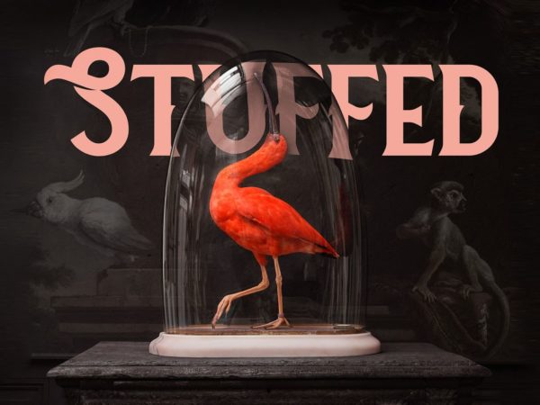 STUFFED