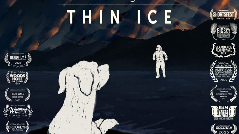 A stylized movie poster for the film "Through Thin Ice" features a large white sketch of a dog sitting on dark ground, gazing at a distant figure in a snowsuit. The background displays a dramatic, painterly night sky with orange and blue streaks. The film's title "Through Thin Ice" is centered at the top, with laurels for various film festival selections lining both sides. Credits at the bottom read "a film by Gabrielle Kardon and Arthur Veenema" and the Instagram handle @throughthinice.