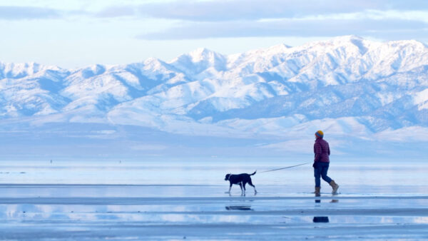 A person in a red winter jacket and yellow hat walks a black dog on a leash across a reflective, icy surface with expansive snow-capped mountains in the background under a bright, cloudy sky.