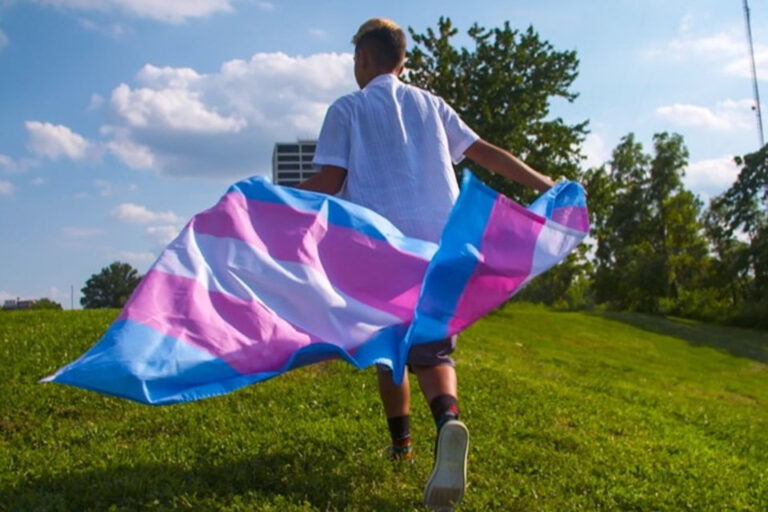 Person walking on grass, holding and draping a large transgender pride flag behind them; trees and clouds visible in the background.