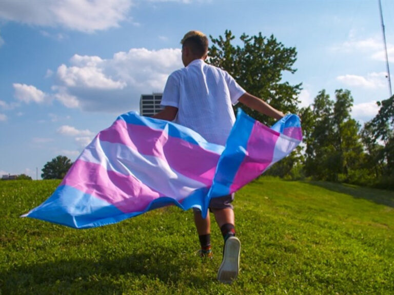 Person walking on grass, holding and draping a large transgender pride flag behind them; trees and clouds visible in the background.