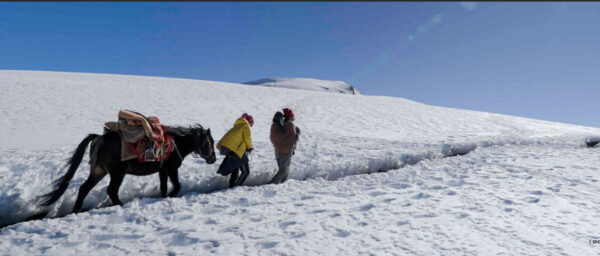 Two people walk through deep snow, leading a saddled horse across a snowy landscape under a clear blue sky. One person wears a yellow jacket and the other is bundled up, possibly carrying something in their arms. The scene conveys a challenging trek through a remote, wintry terrain.