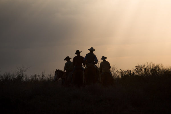 Unbranded4
