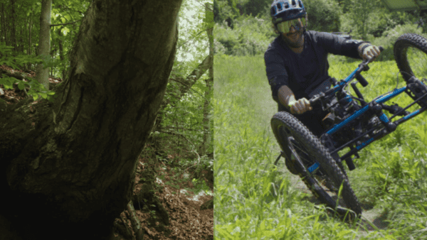 Mountain biker navigating a steep grassy trail surrounded by lush green trees and foliage.