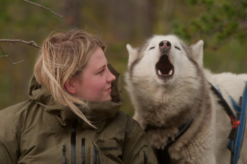 A person in an olive jacket sits next to a harnessed husky that is howling, outdoors with trees in the background.