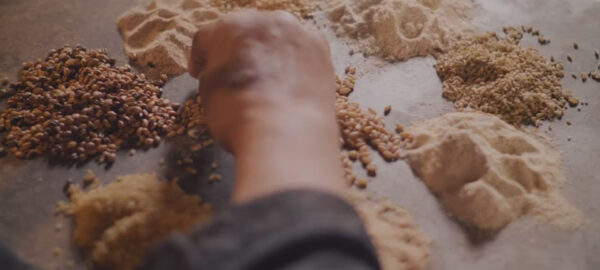 A hand sorts and spreads grains across a flat surface next to various small piles of flour. The image captures a close-up view of different textures and colors of grains and milled flour, highlighting a process of selection or preparation in a culinary setting.